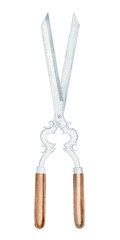 Garden scissors, secateurs, pruner, care and pruning of plants, illustration in watercolor technique, for postcards or design highlights and other
