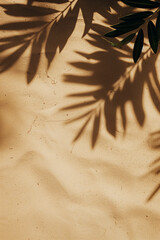 Leaf shadows on sandy beach.Creative copyspace.Minimal concept.