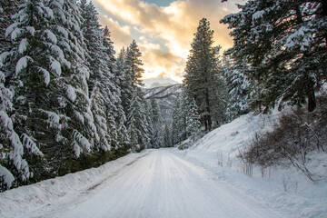Beautiful Snow-covered Road and Winter Forest in the mountains of the Pacific Northwest - Twisp, Methow Valley, Washington, USA