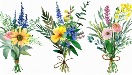 watercolor arrangements with flowers set bundle bouquets with wildflowers leaves branches botanical illustration