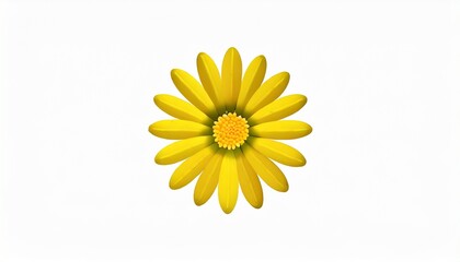 embroidery of yellow small daisy flower isolated on white background