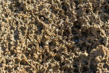 a rocky beach in hawaii 