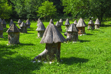 Apiary with unusual hives in the mountains of Abkhazia