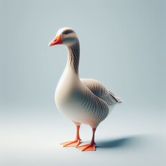 full body view of greylag goose alone
