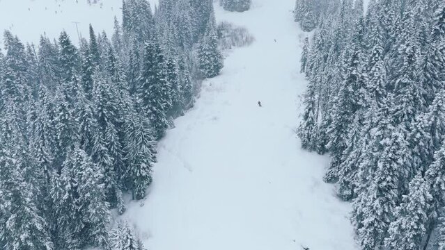 Winter sports aerial background. Slow motion drone shot overhead skier riding down the hills in snowstorm. Cinematic winter mountain forest in ski resort Stevens Pass, Washington. Winter holidays trip