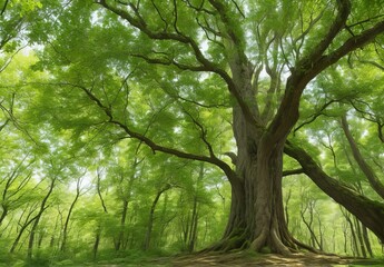 Closeup of tree in the forest