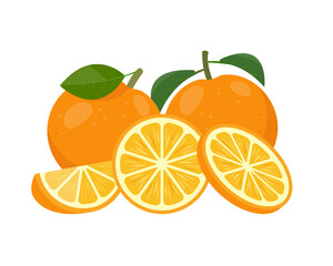 Fresh oranges fruits. Whole orange, oranges slices and pieces. Organic fruits for juice or vitamin c healthy food. Vector illustration isolated on white background.