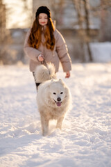 A girl walks with her beloved pet Samoyed in winter on the shore of a lake in the park.