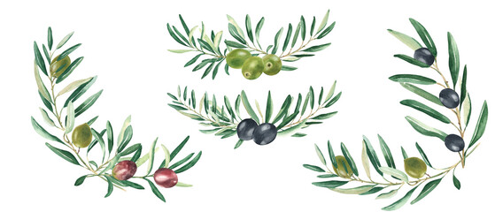Olive branches bouquets with green, red and black olives isolated on white background. Watercolor hand drawn botanical illustration. Can be used for cards, menu, logos, cosmetic, food packaging design