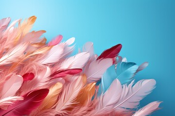  a close up of a bunch of colorful feathers on a blue background with space for a text or an image.