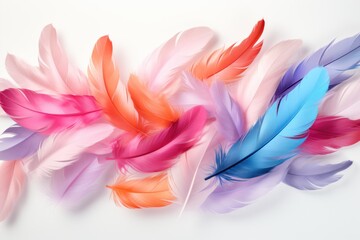  a group of multicolored feathers on a white background with space for a text or a logo on the left side of the image.