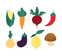 Fresh vegetable set on isolated background. Flat botanical vector. Vibrant and multi-colored vegetables. For seasonal decor, kitchen textiles.