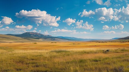 Fototapeta premium A panoramic landscape capturing an unbiased view of nature's diversity. 