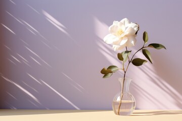  a white rose in a vase on a table with a purple wall behind it and a long shadow on the wall behind it.