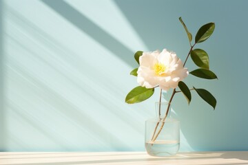  a white flower in a glass vase with water on a table with a shadow of a blue wall behind it.