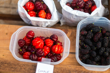 Kauai Farmer's market