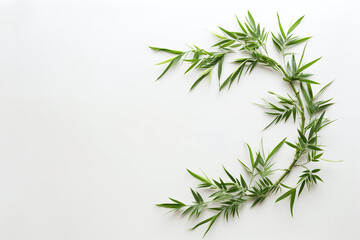 A pair of Chinese sheets on a white background, with space for text.