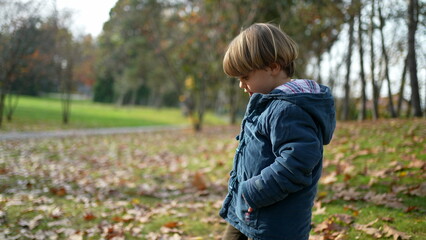 Child Exploring Autumn Park - 3-Year-Old Boy in Blue Jacket Among Orange Leaves