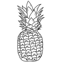 sketch of pineapple