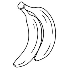illustration of banana