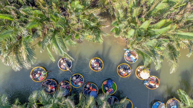 Aerial view of a coconut basket boat tour at the palms forest in Cam Thanh village, Hoi An, Vietnam. Tourists having an excursion in Thu Bon river