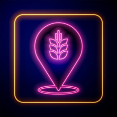 Glowing neon Cereals set with rice, wheat, corn, oats, rye, barley icon isolated on black background. Ears of wheat bread symbols. Vector