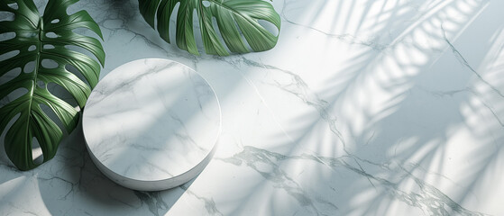 3d render of white marble podium and monstera leavesle background