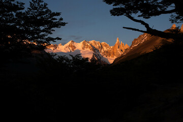  Sunrise on the cerro Torre, in Chaltén viewed through the shadow of local trees
