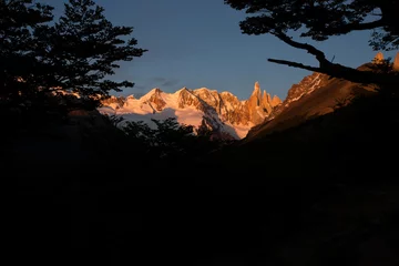 Wall murals Cerro Torre  Sunrise on the cerro Torre, in Chaltén viewed through the shadow of local trees