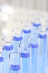 Laboratory analysis. Many glass test tubes with light blue liquid on blurred background, closeup