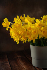 Bouquet of yellow daffodils in vase on dark brown background 