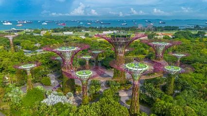  Aerial view of landscape of Gardens by the Bay in Singapore. Botanical garden with artificial trees © Audrius