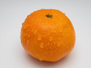orange on a white background