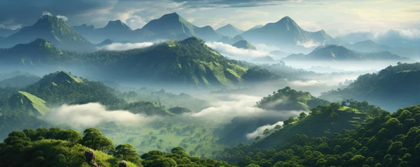 Tuinposter Jungle forest foggy morning land scenery. Fogg rising clouds above green forest © Alena