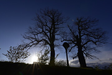 Wegekreuz mit zwei Bäumen vor blauem Himmel mit Sonnenstern