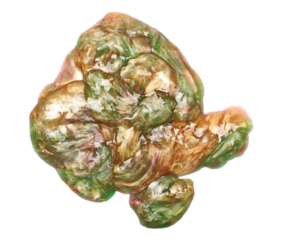 Colorful sleaze puddle, slime isolated on white, top view, jellyfish