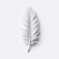 feather, light weight, free, environment 