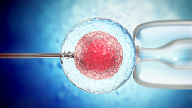 3D illustration of artificial insemination process showings sperms being injected inside the ovule. 3D illustration