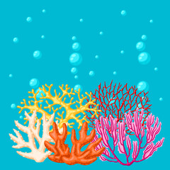 Fototapeta na wymiar Background with sea corals. Marine life aquarium and water fauna.