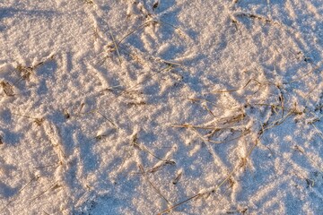 Winter background. Snow covered the grass.