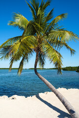 Florida Keys Island Paradise - 715960310