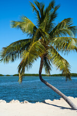 Florida Keys Island Paradise