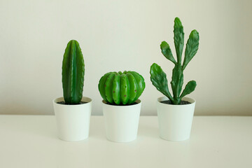 Group of small artificial cactus, cacti and succulent plants in pots isolated on a white background, decorate in shelf, wall, room, house. Interior decoration concept. Minimal creative still life