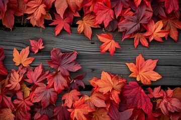 A minimal aesthetic background with autumn red leaves is used for the presentation of a wooden