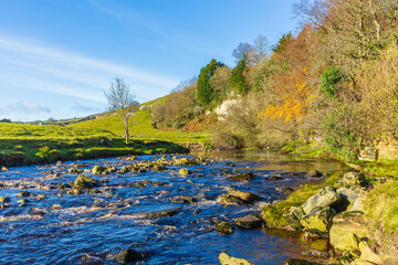 River Swale in late Autumn with leafless trees and only the evergreens and golden oak leaves remaining.  Swaledale in the Yorkshire Dales, UK.  Space for copy.  Horizontal.