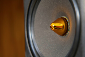 Close up of a bookshelf Hi-fi speaker with golden cap covering the cone. The speaker is sat in a...
