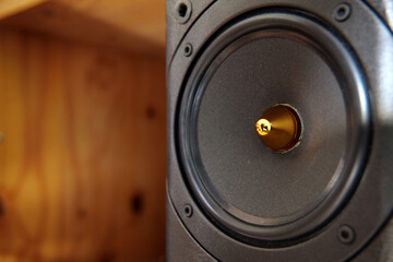 Close up of a bookshelf Hi-fi speaker with golden cap covering the cone. The speaker is sat in a...
