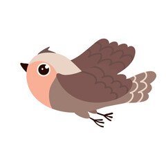 Little cartoon bird, sparrow. Vector graphics.