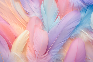 Fototapeta na wymiar Beautiful fluffy feathers as background, closeup. Color toned. Color feathers on tulle background in pastel tones. Many fluffy feathers as background, closeup. Color toned
