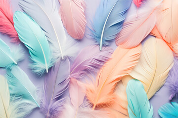 soft feather arrangements in saturated pastel tones. Color feathers on tulle background in pastel tones. Beautiful fluffy feathers as background. Color toned